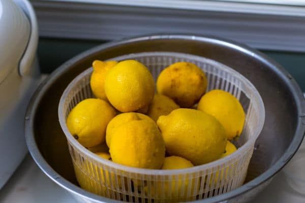 Lemon