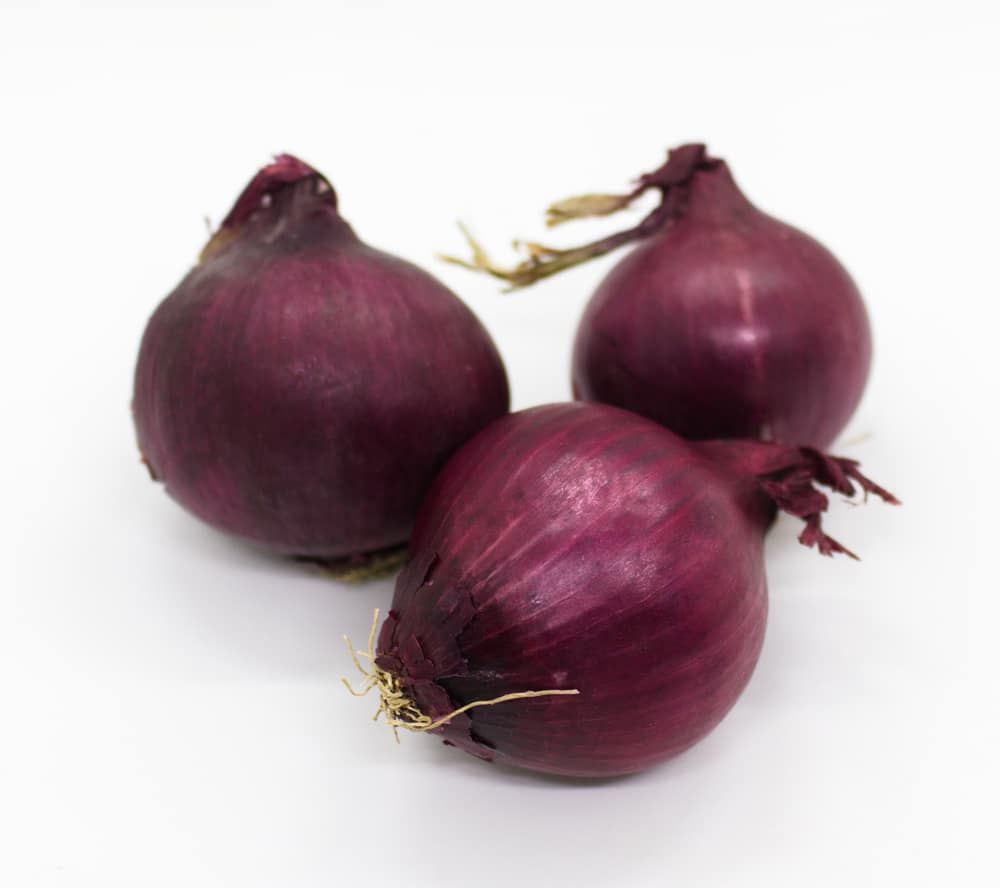 Onion